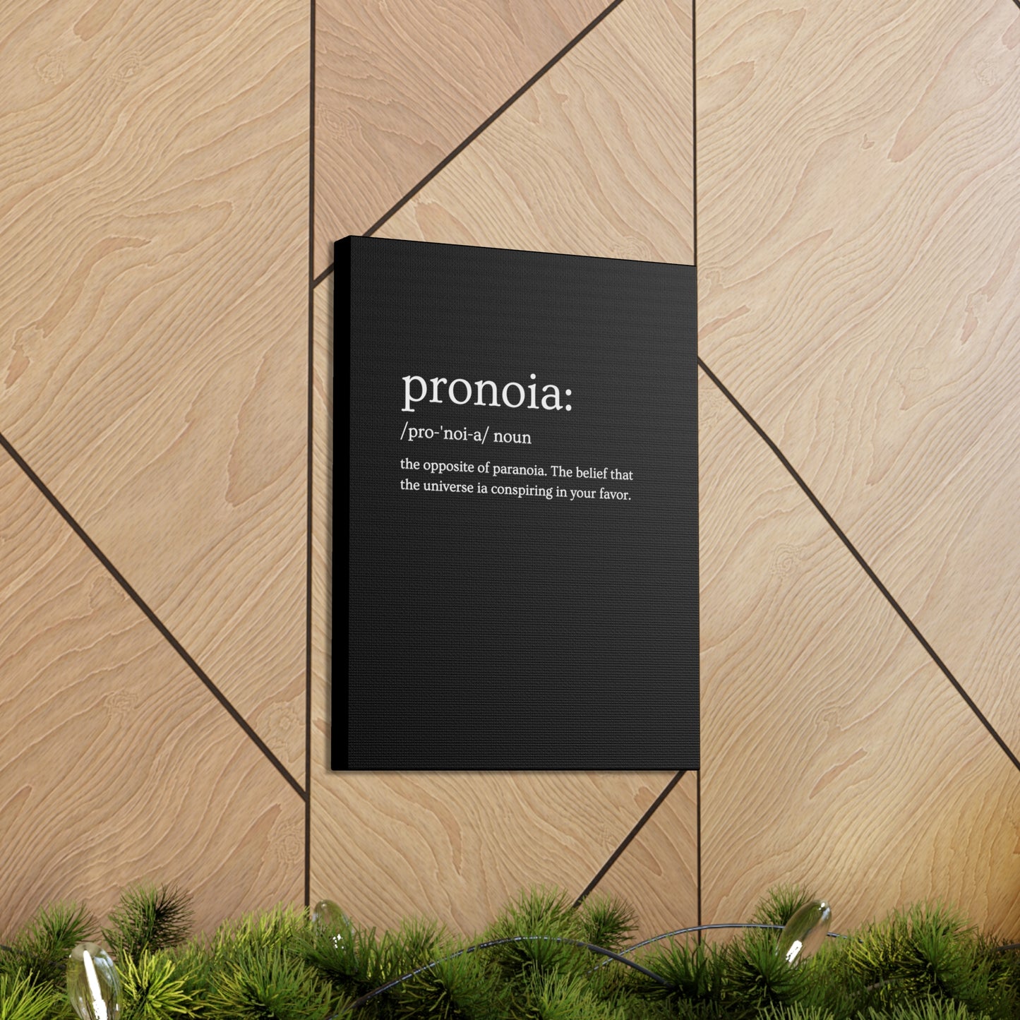 Pronoia - definition Canvas Gallery Wraps