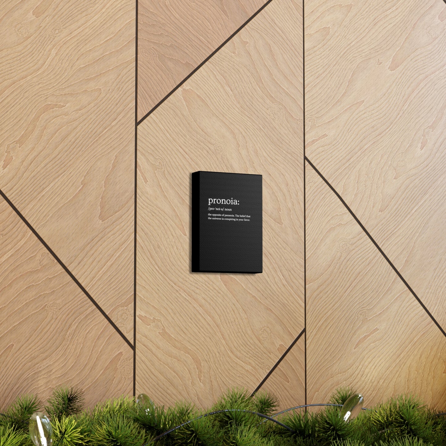 Pronoia - definition Canvas Gallery Wraps