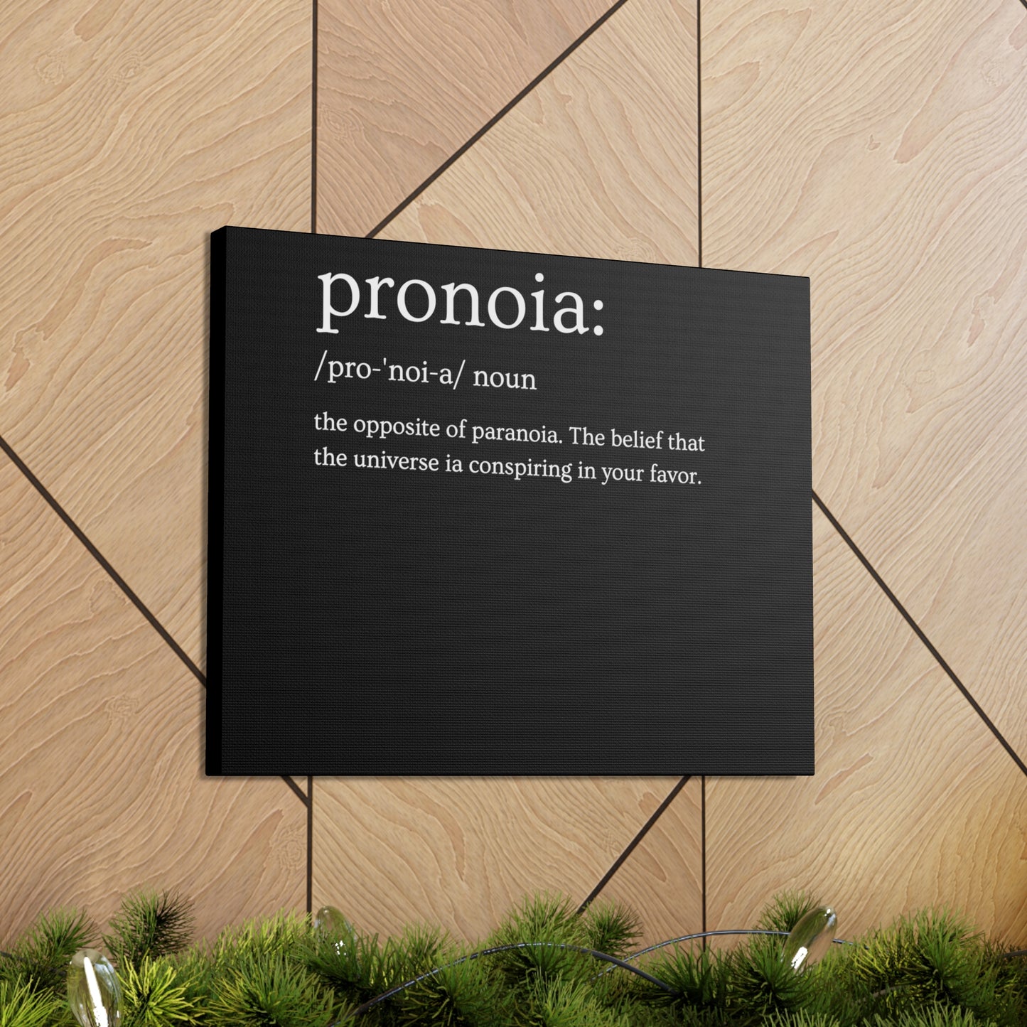 Pronoia - definition Canvas Gallery Wraps