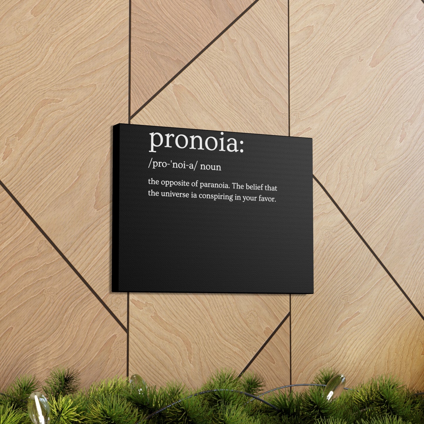 Pronoia - definition Canvas Gallery Wraps