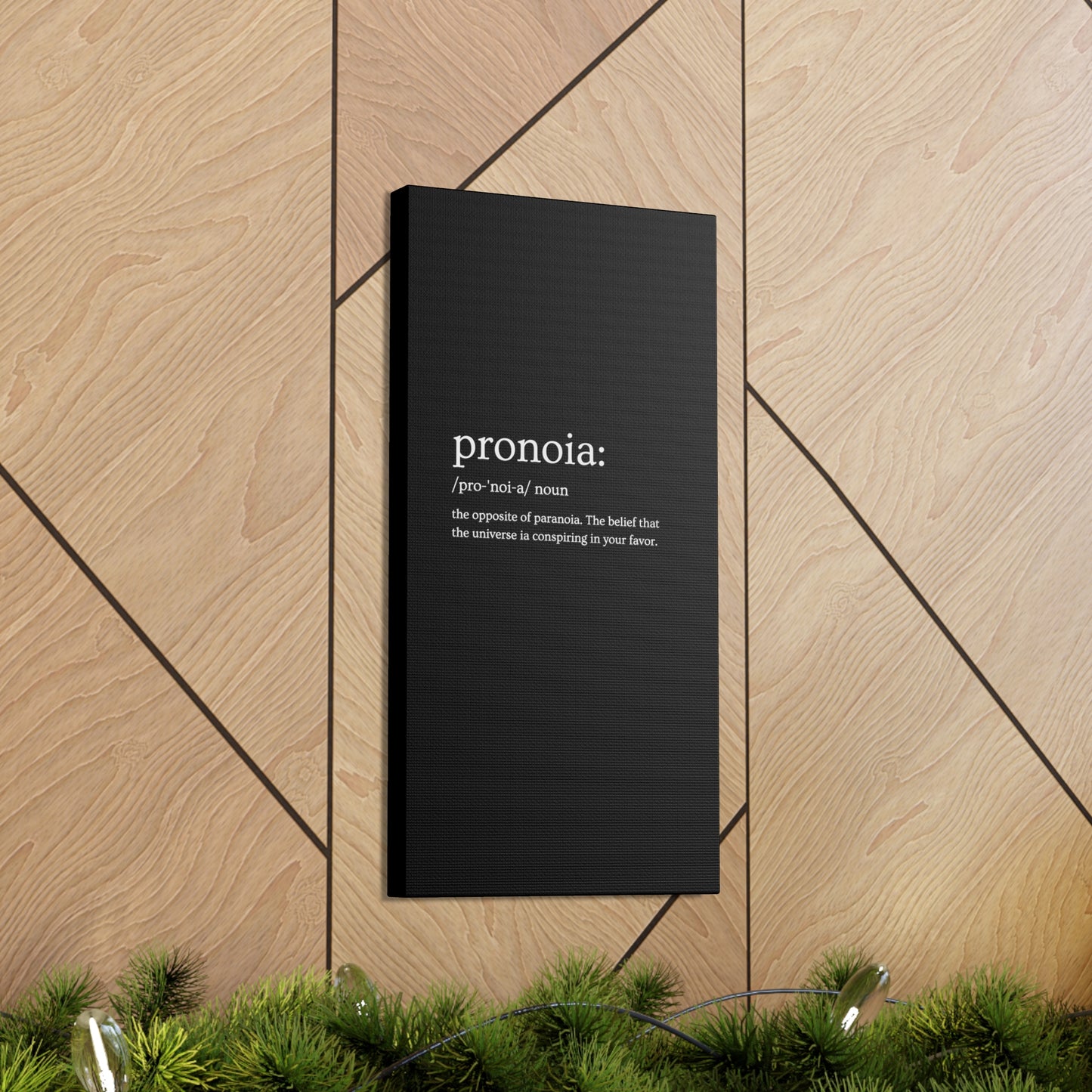 Pronoia - definition Canvas Gallery Wraps