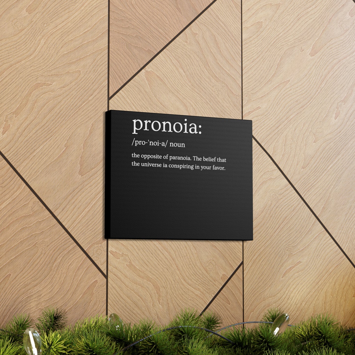Pronoia - definition Canvas Gallery Wraps