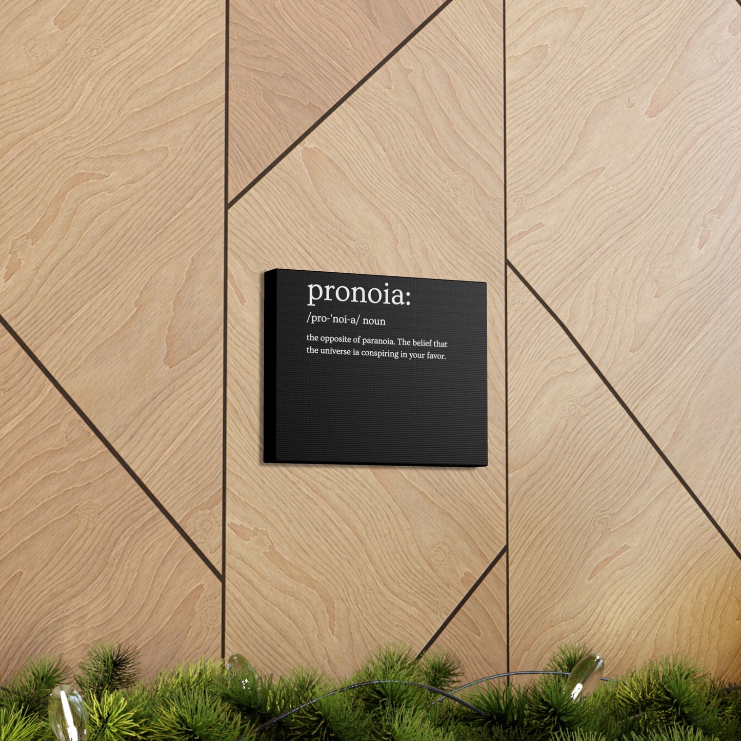 Pronoia - definition Canvas Gallery Wraps