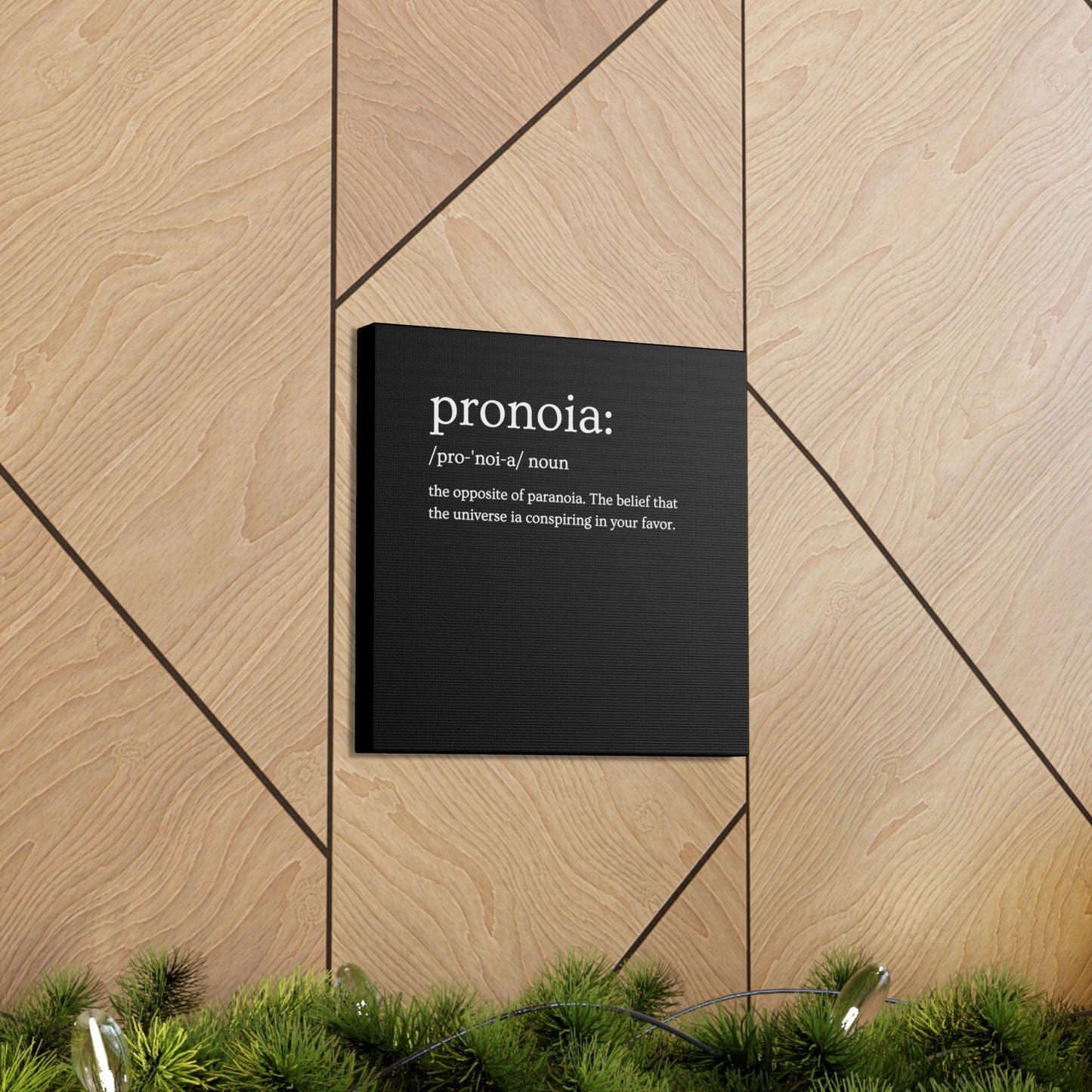 Pronoia - definition Canvas Gallery Wraps