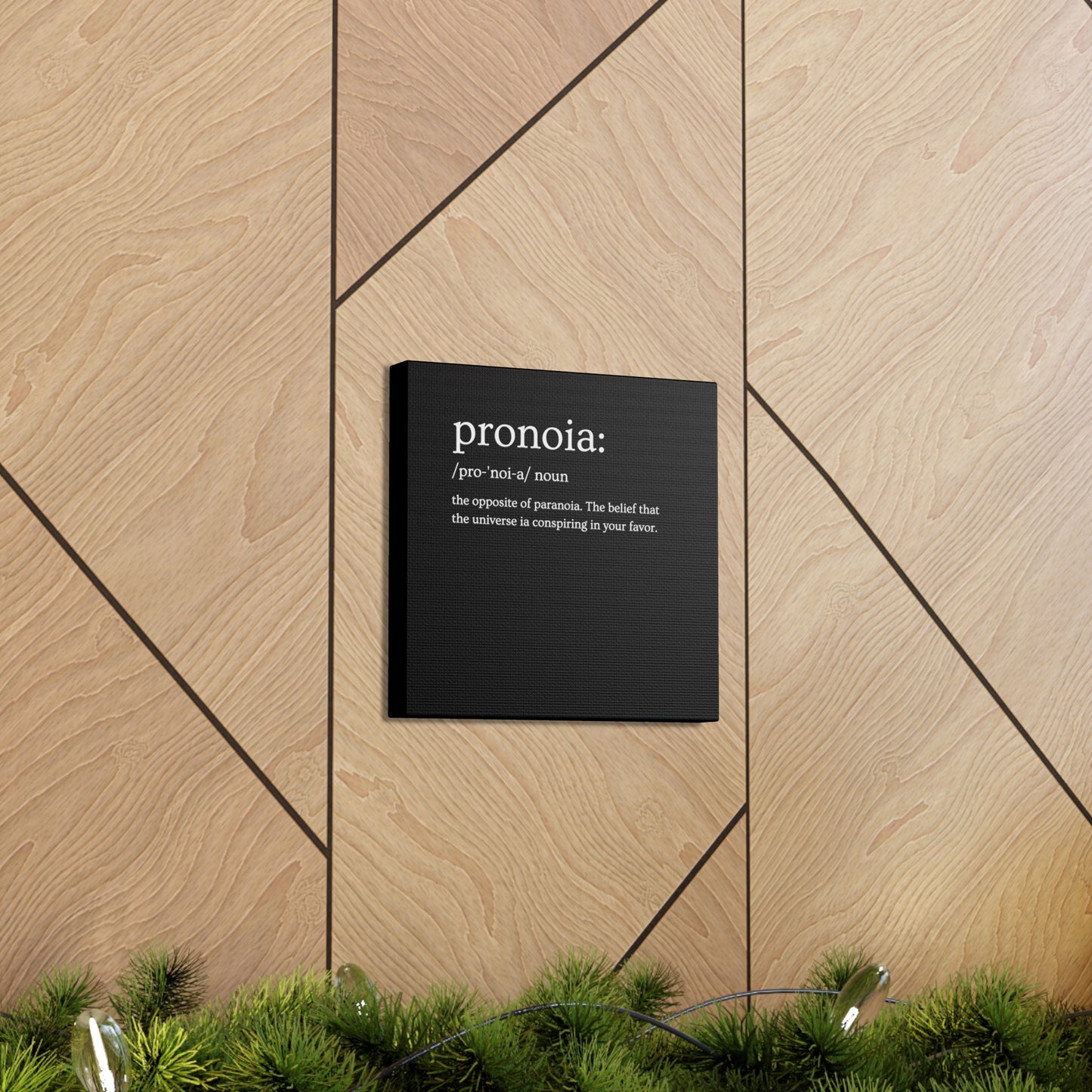 Pronoia - definition Canvas Gallery Wraps